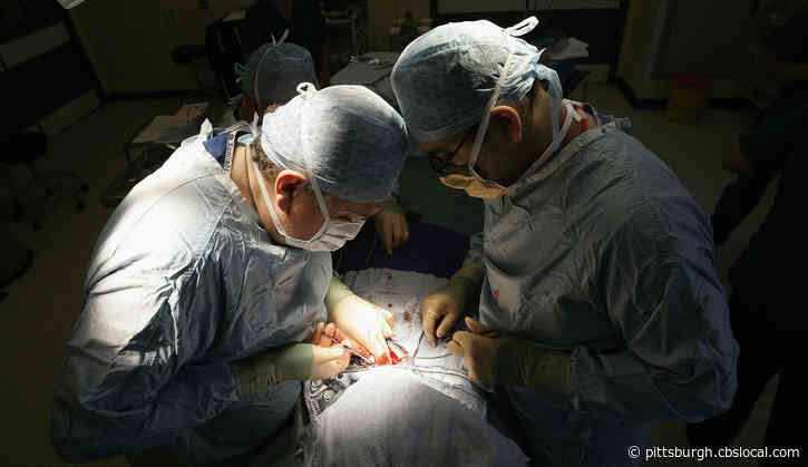 Donated Organs Of Boy Killed In Thanksgiving Hunting Accident Saves 3 Others