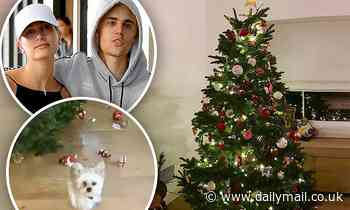 Hailey Bieber reveals Christmas tree with Justin... before their puppy ruined the festive display