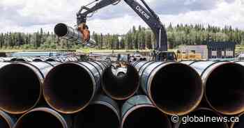 Pipe for Trans Mountain expansion to be in the ground before Christmas: CEO