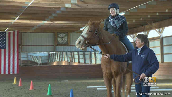 Local Non-Profit Helping Those With Disabilities Through Therapeutic Horse Riding