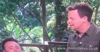 I'm A Celebrity host Ant gets painful blow to the crotch live on air as Dec plays cruel trick on him