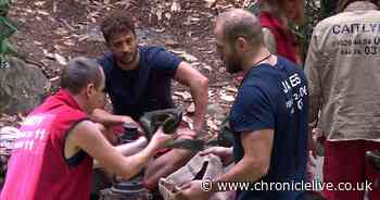 I'm A Celebrity result delights viewers as James Haskell gets boot from jungle