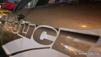 Police looking for woman who crashed stolen car with baby inside