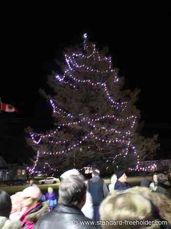 Magical night for kids and community in Ingleside, at tree lighting