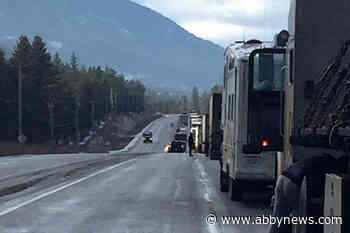 Two arrested after shots fired in North Okanagan