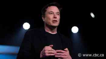 Elon Musk testifies in defamation trial over his tweet about British cave diver