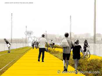 Councillors endorse $85K funding to keep High Level Line linear park dream alive