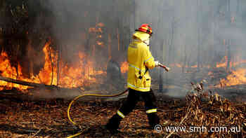 Canadian firefighters give up Christmas to assist RFS with bushfires