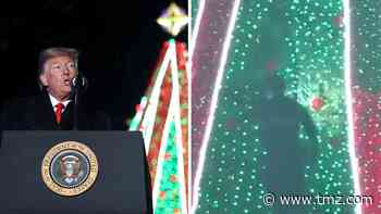 Trump's Lighting Ceremony Requires New $164k Christmas Tree