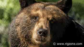 Oil Up Despite Trade-Deal Bearishness