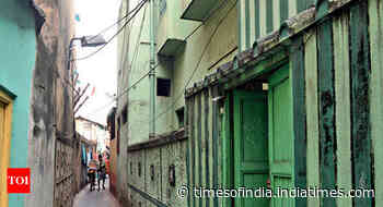 Three die of dengue in Kolkata