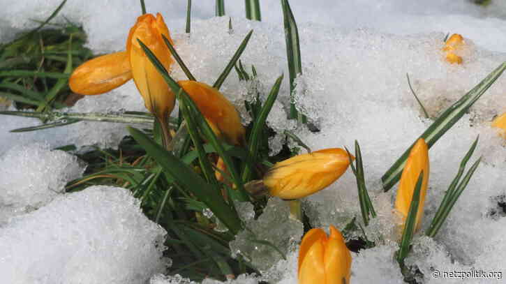 Datenstrategie der Regierung: Ein Eckpunktepapier macht noch keinen Sommer