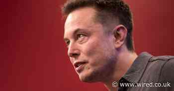 The best quotes from Elon Musk's 'pedo guy' testimony