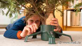 Christbaumständer – So finden Sie die richtige Halterung für ihren Tannenbaum