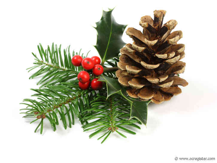 Create family Christmas and holiday traditions in the garden