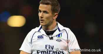 Six Nations referee appointments announced as Welsh-born official takes charge of Wales and Wayne Barnes carries on