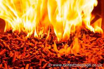 High Court challenge to RHI cuts delayed until 2020