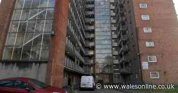 Man found dead outside Swansea flats