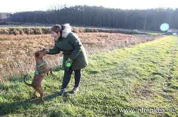 Eine Wiese zum Toben und Spielen