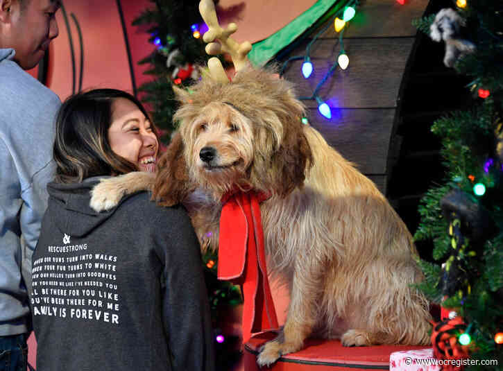 Merry Minions, hot Butterbeer and The Grinch! The holidays are now in full swing at Universal Studios Hollywood
