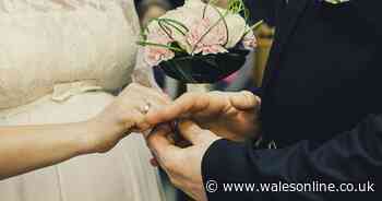 Wedding guest lashed out at woman with 'rugby-style hand-off'