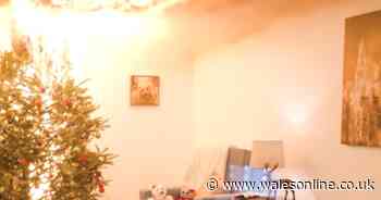 Terrifying video shows it takes under 10 seconds for a dry Christmas tree to ignite a house fire