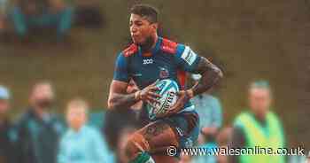 Welsh player 'storms onto the scene' in Australian rugby three years after winning award in Wales