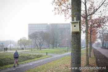 Honderd nieuwe nestkastjes op de Wageningen Campus