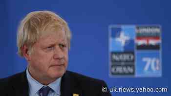 Campaign highlights: Nato shapes debate as bees swarm Lib Dems and Brexit Party