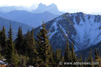 Silverdaisy Valley near Hope saved from logging activity