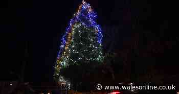 The Cardiff Christmas tree that can be seen from over a mile away