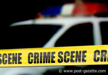 Police say North Huntingdon chiropractor was killed in his office but provide few details