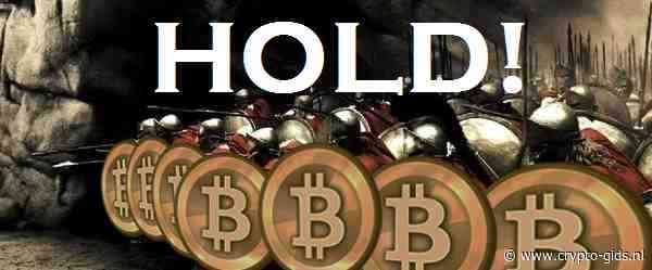 ‘Hodlers zijn gek’ – 64% van de Bitcoin voorraad is sinds 2018 niet meer verplaatst!