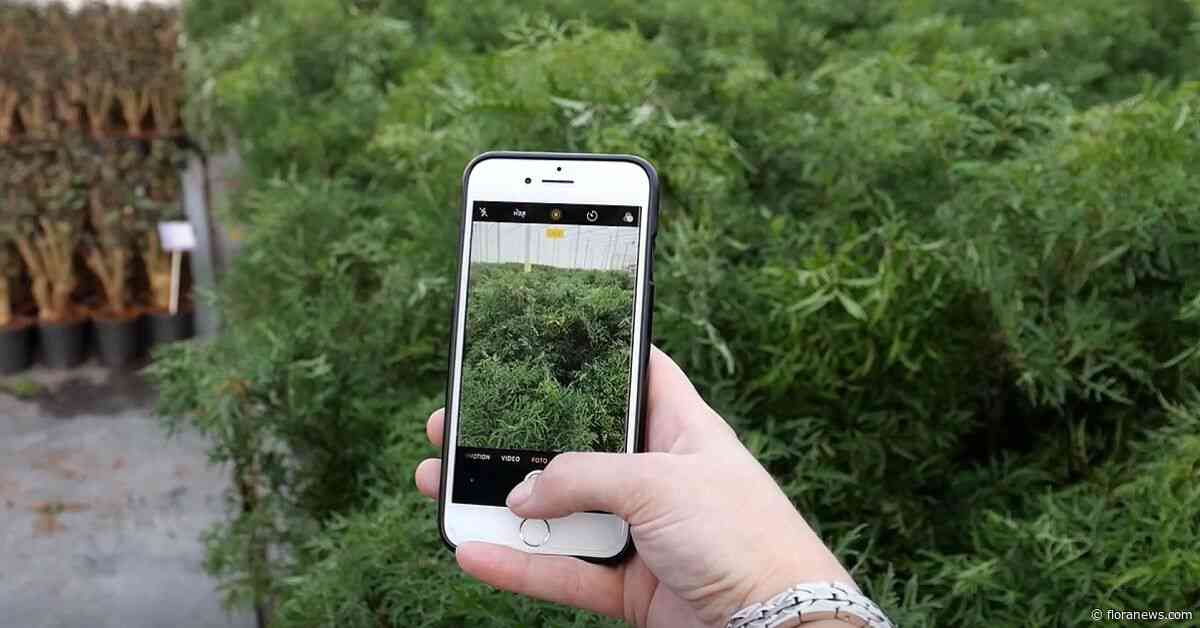 Tuincentra en Decorum kwekers delen kennis en kunde