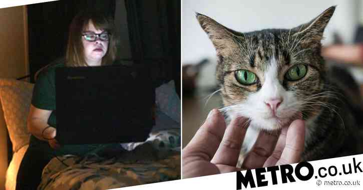 Netflix drops twisted Don’t F**k With Cats trailer – and you really don’t want to, btw