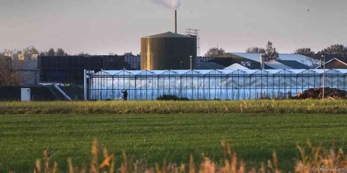 Provincie Friesland verliest bijna een miljoen door failliete glastuinbouwer
