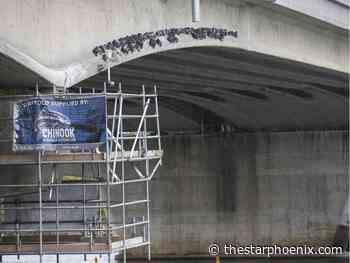 City hall to pursue pest management strategy for Saskatoon