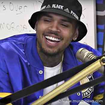 Chris Brown has been banned from buying monkeys for six months
