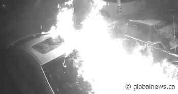 Police ask public to help them find man who set car on fire in southeast Edmonton