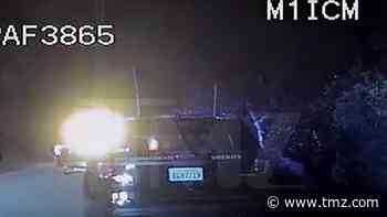 Police Video from Fatal Shooting of 'Tarzan' Star Ron Ely's Son