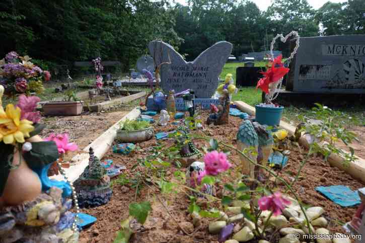 Capstone – prison deaths