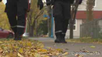 Edmonton’s police chief says city needs to address growing meth problem