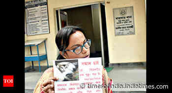 Teacher offers Rs 10k reward for bringing kitty home