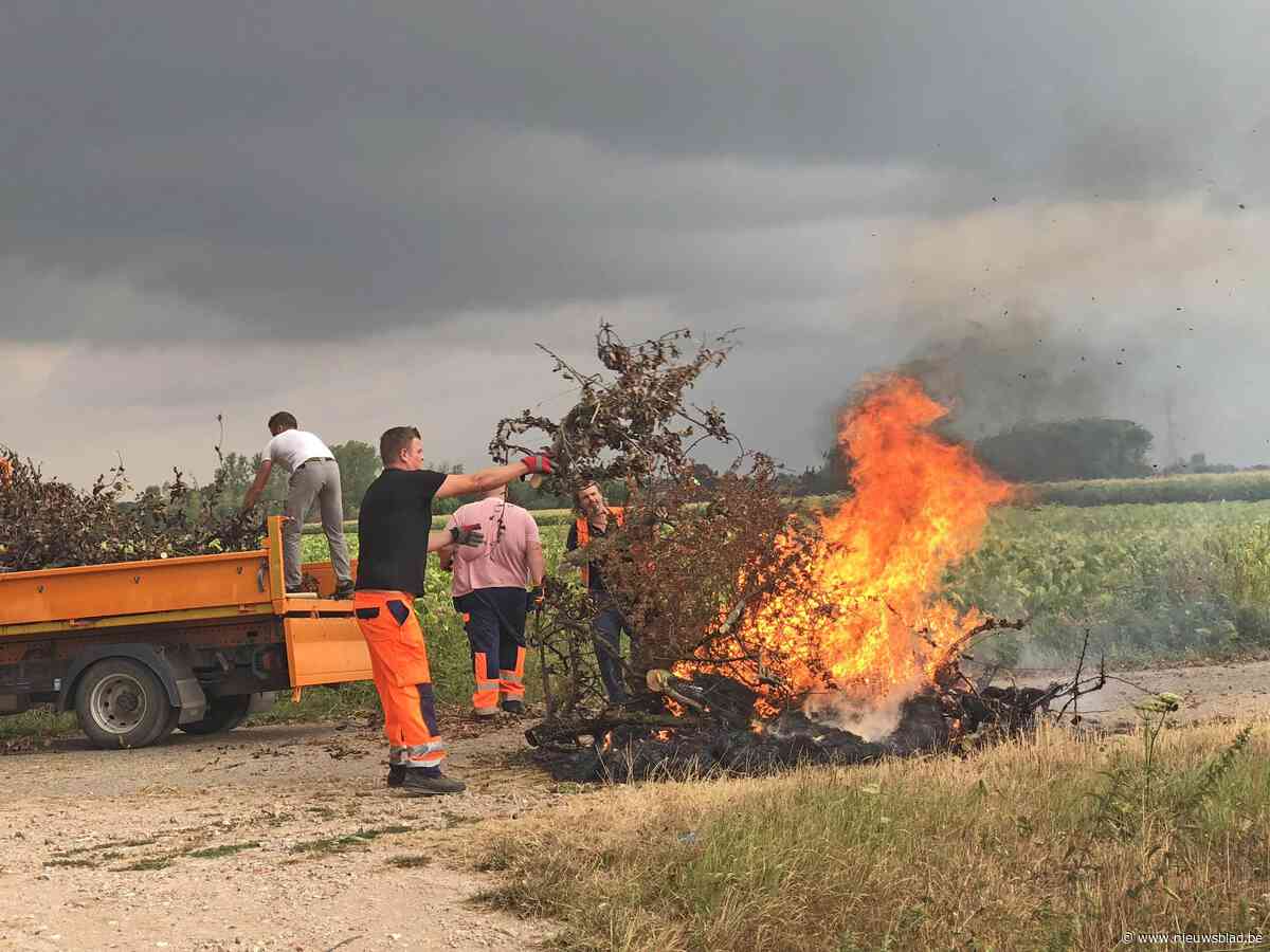 Perentelers met verstomming geslagen