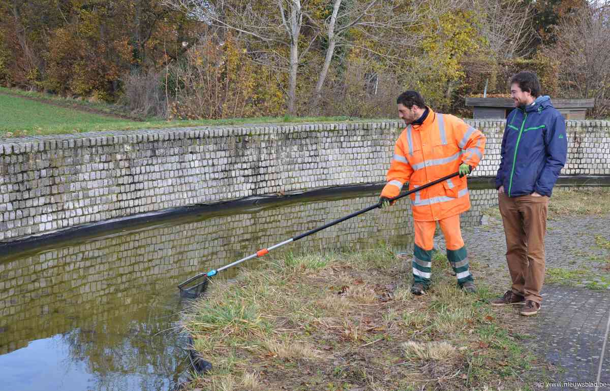 “Vergeten tuin moet aan charme winnen”