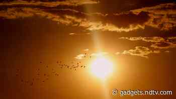 Sun's Magnetic Waves: Ground-Breaking Discovery Cracks 60-Year-Old Mystery