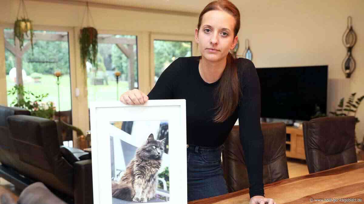 Tierkadaver: Katzenhalter klagen über Such-Odyssee