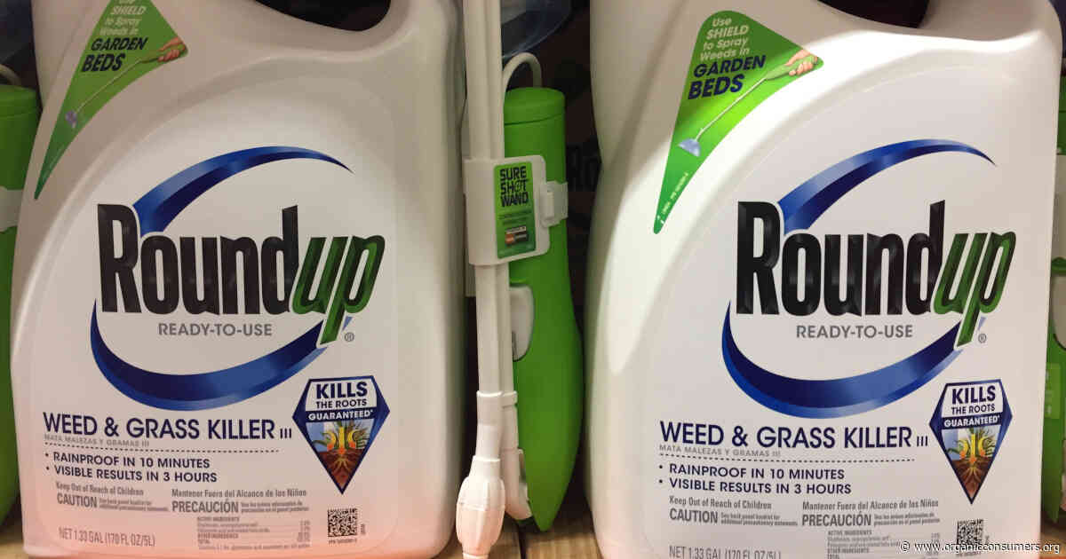 California: Tell Your State Lawmakers to Ban Monsanto’s Roundup Weedkiller!