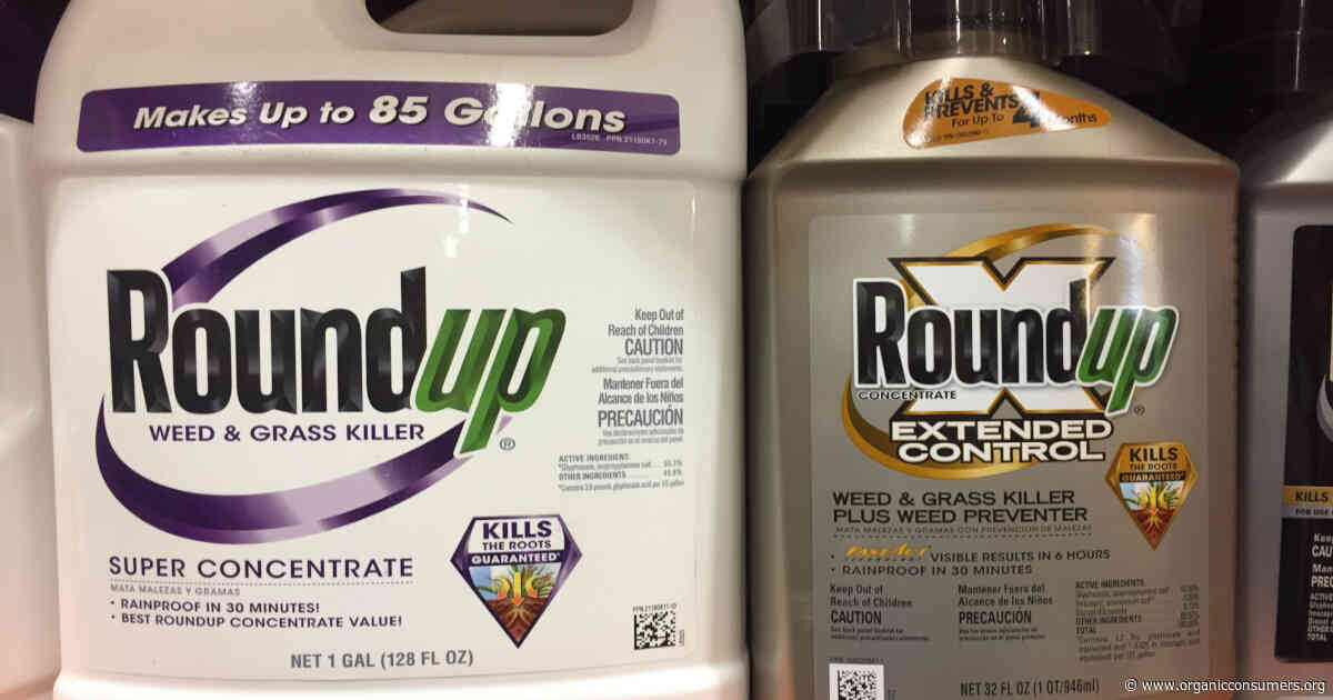 Hawaii: Tell Your State Lawmakers to Ban Monsanto’s Roundup Weedkiller!