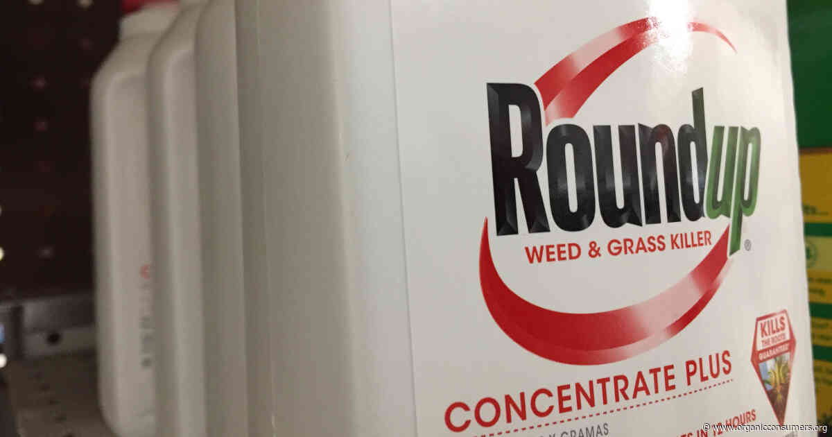 New York: Tell Your State Lawmakers to Ban Monsanto’s Roundup Weedkiller!
